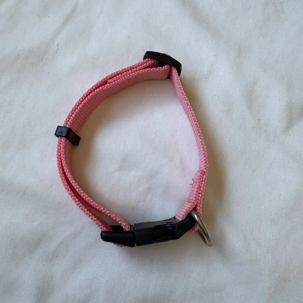 NWT Native Pup Basic Nylon Dog Collar, Adjustable for Small Dogs or Puppies Pink